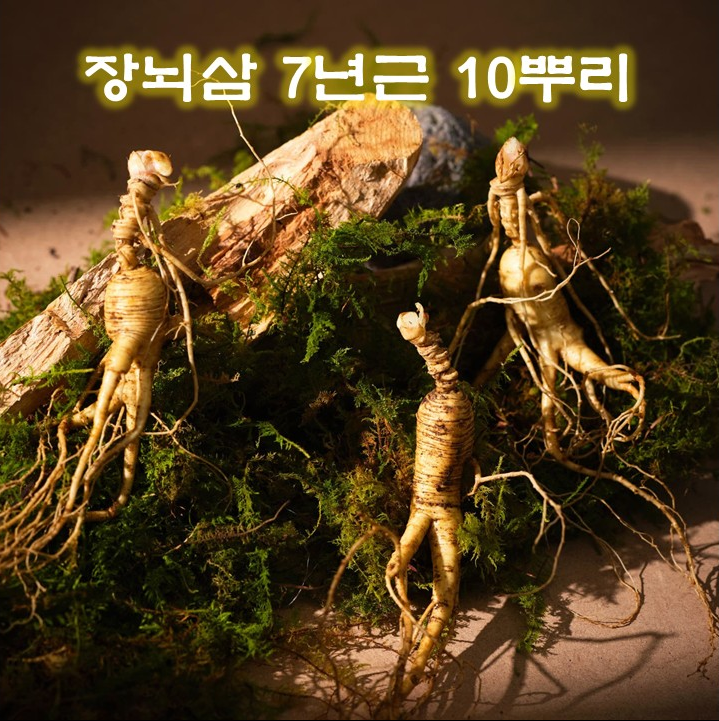 [장뇌삼][7년근][10뿌리][국산] 자연 산양삼 장뇌삼 7년근 10뿌리 고급선물 기념일