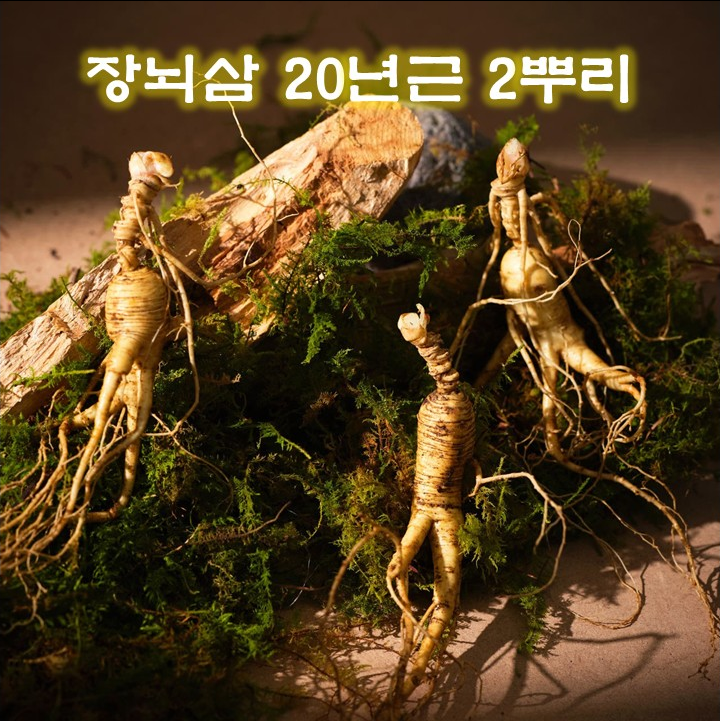 [장뇌삼][20년근][2뿌리][국산] 자연 산양삼 장뇌삼 20년근 2뿌리 고급선물 기념일