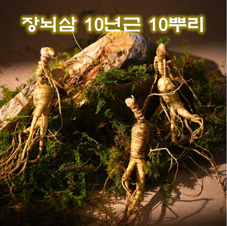 [장뇌삼][10년근][10뿌리][국산] 자연 산양삼 장뇌삼 10년근 10뿌리 고급선물 기념일
